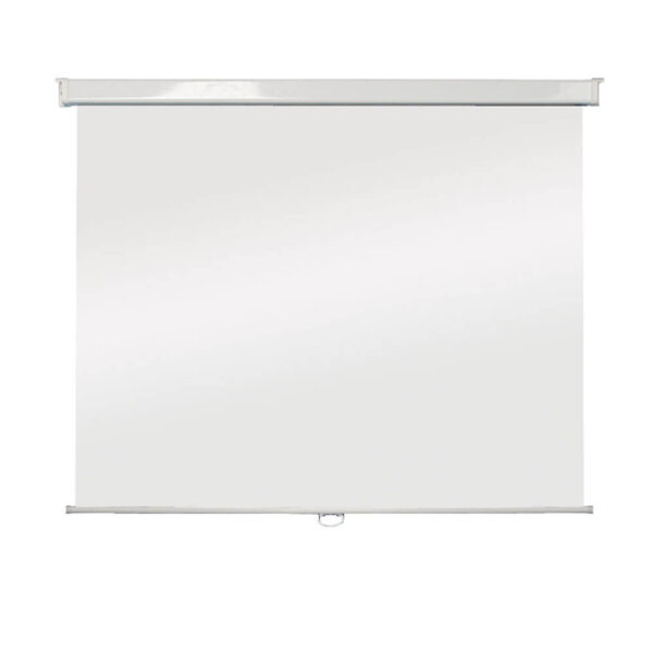 Manual Wall Mounted Projection Screen