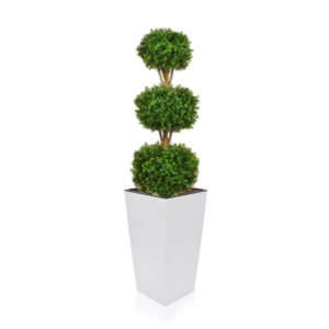 Triple Buxus Ball in Tapered Planter