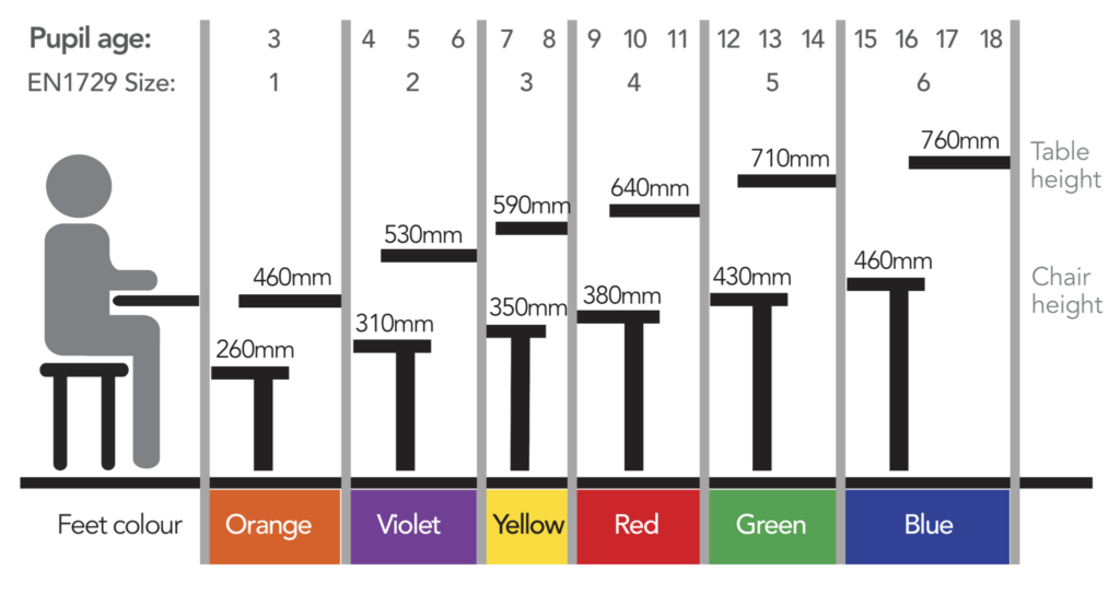 Explainer Choosing the Correct Table & Chair Height Maple Leaf